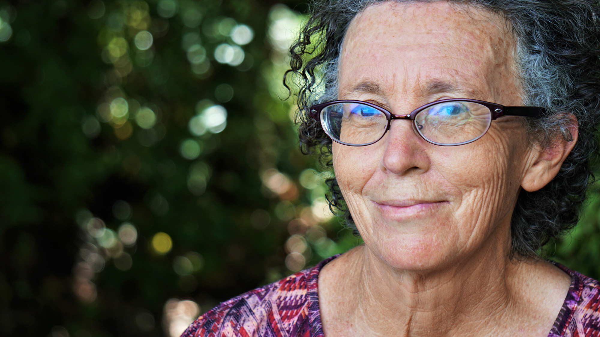 case 2012 blind 16x9