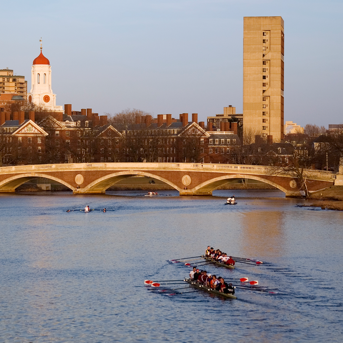 The Charles River in Cambridge, MA, showing Weeks Bridge and rowing crews