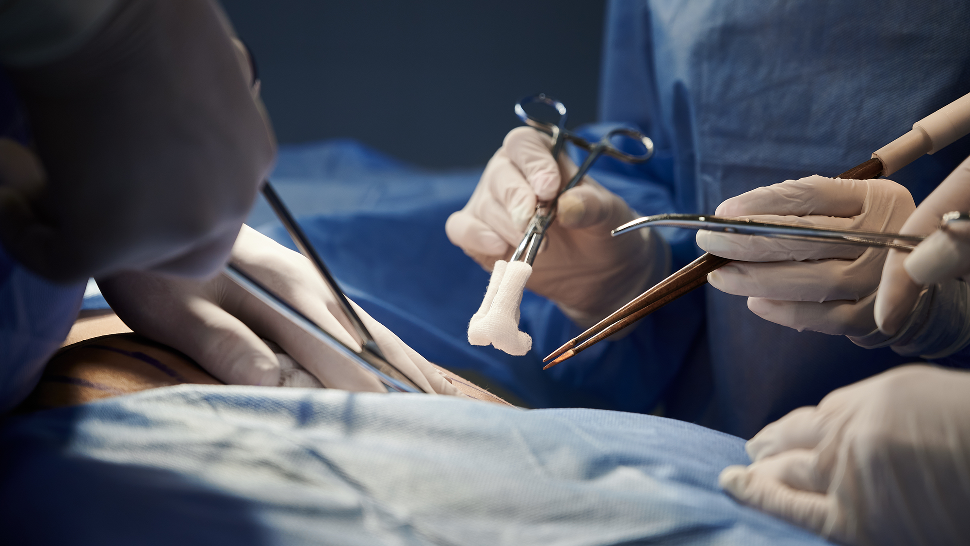 podcast2024sponge 16x9